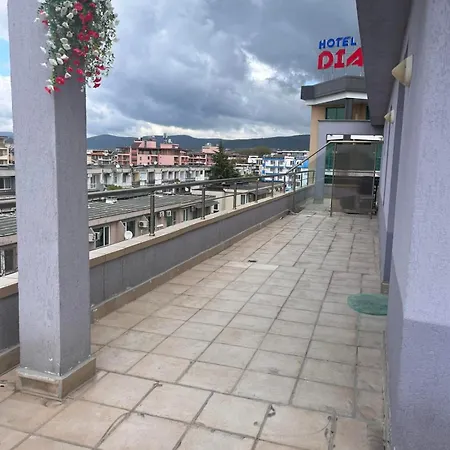 чайка 5 Sunny Beach